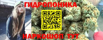 MDMA Premium VHQ Новозыбков