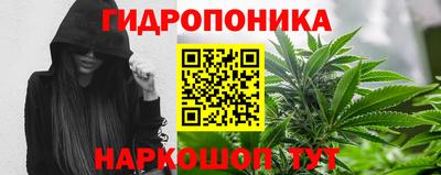 ешки Новокубанск