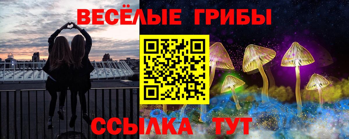 Псилоцибиновые грибы прущие грибы Ставрополь