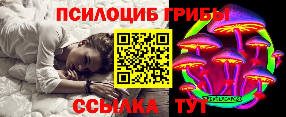 Галлюциногенные грибы Cubensis  Вход с VPN  Ставрополь 